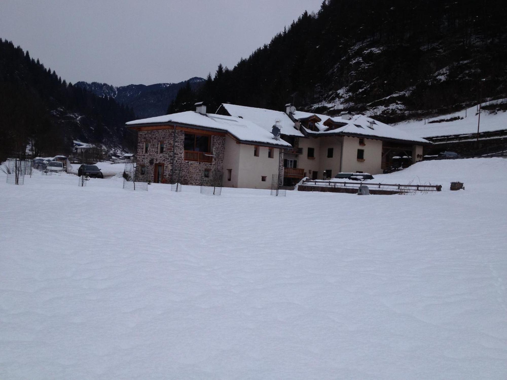 Maso Toneto Hotel Castello-Molina di Fiemme Exterior photo