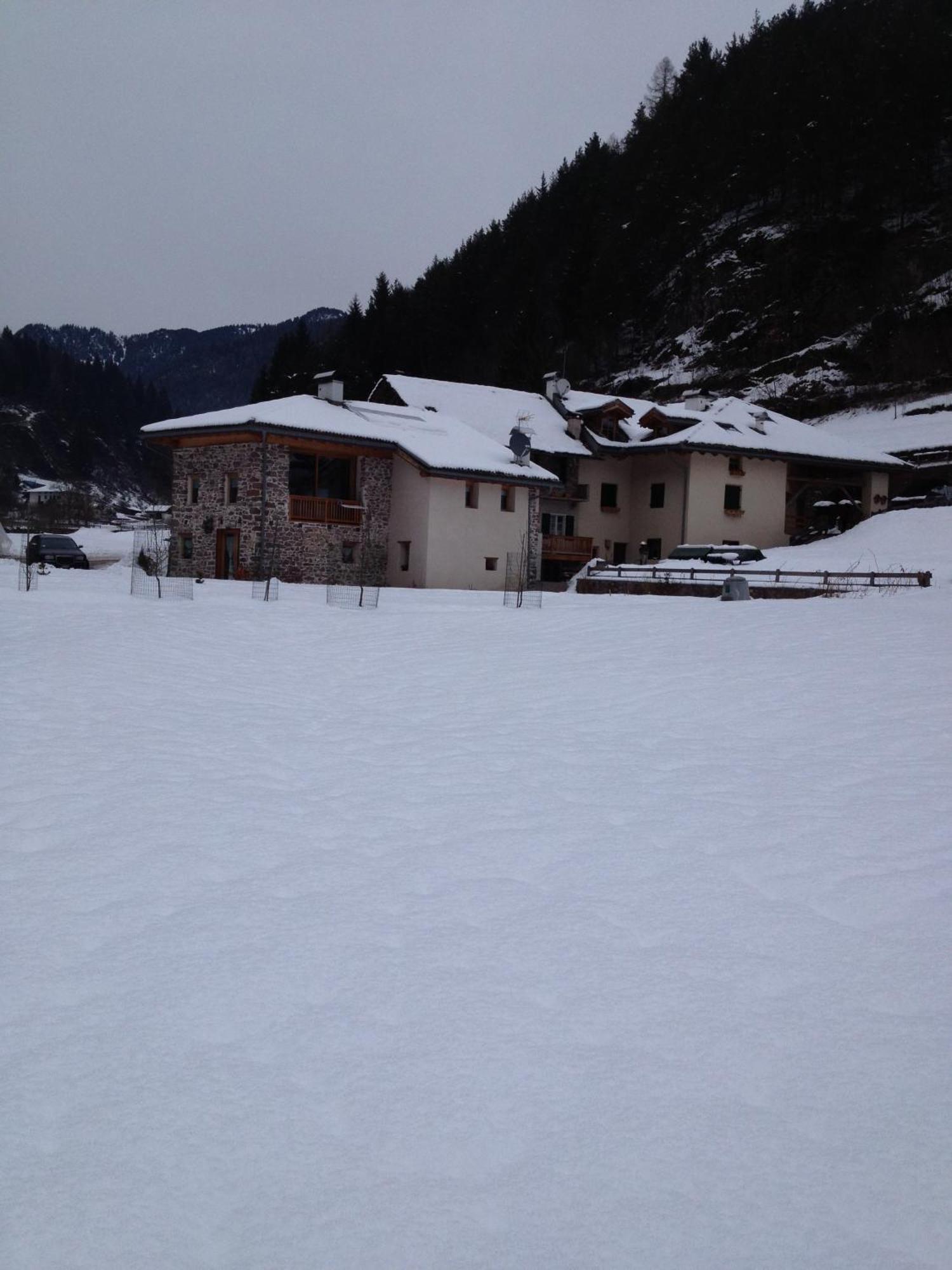 Maso Toneto Hotel Castello-Molina di Fiemme Exterior photo